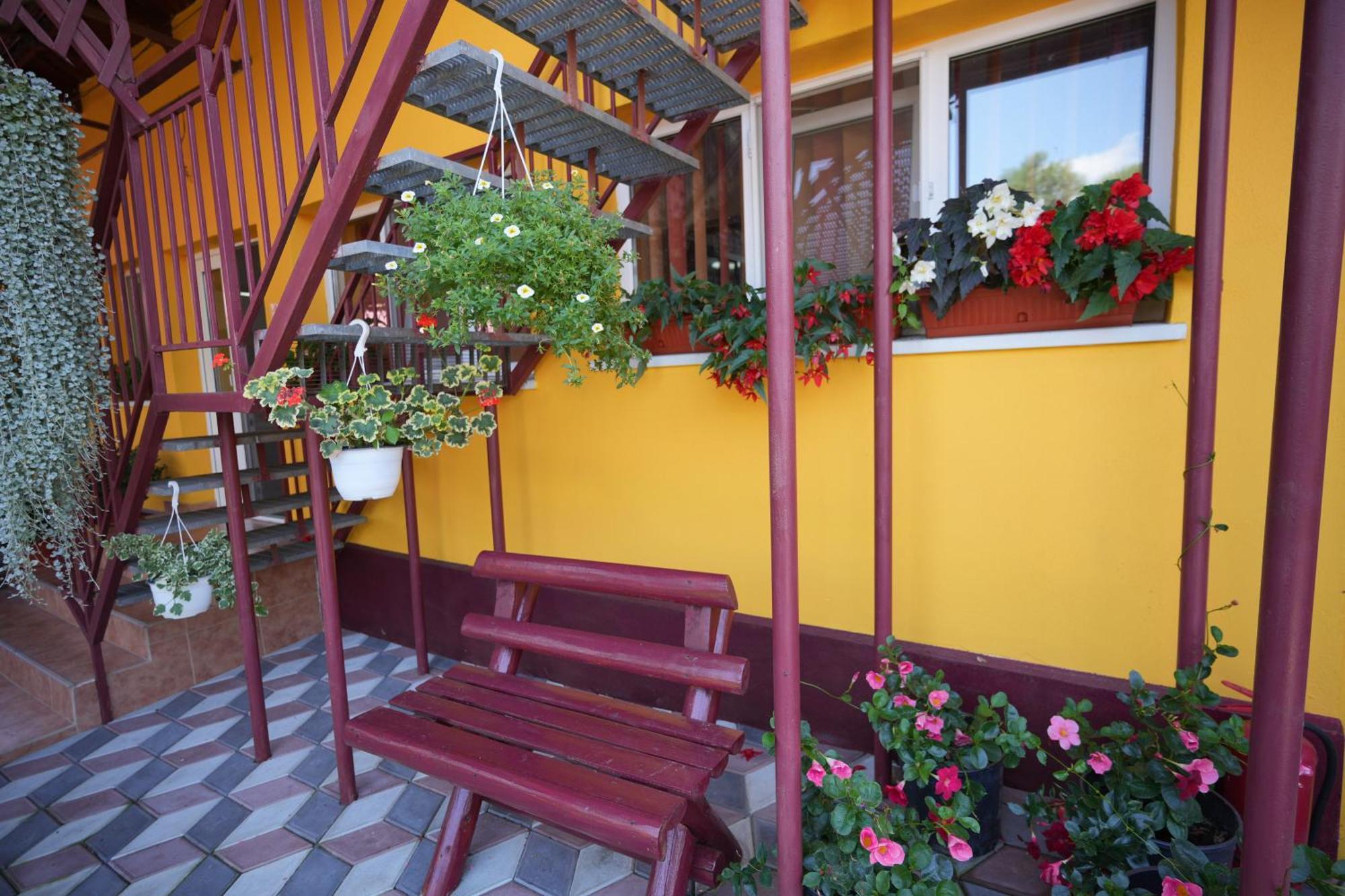 Appartement Casa Ion à Horezu Extérieur photo